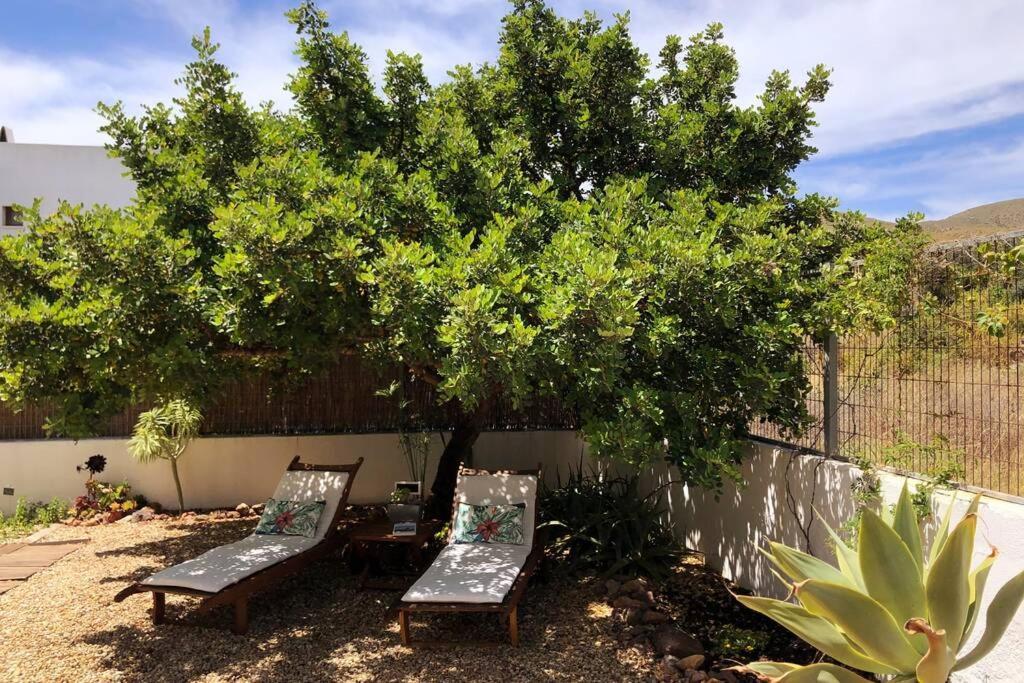 로달킬라르 Casa Granado En Cabo De Gata 빌라 외부 사진