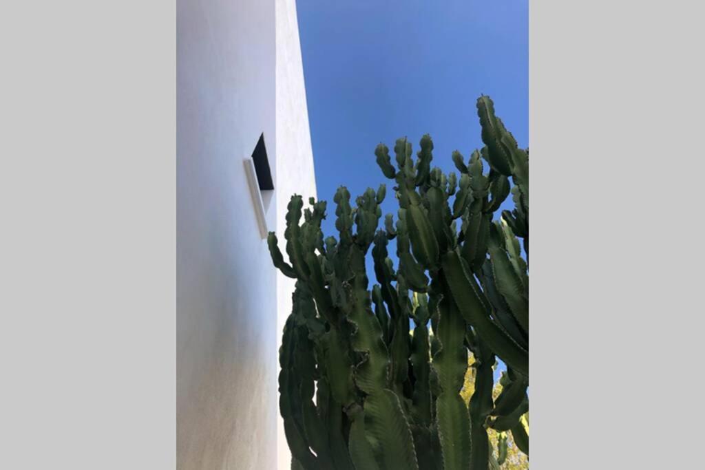 로달킬라르 Casa Granado En Cabo De Gata 빌라 외부 사진